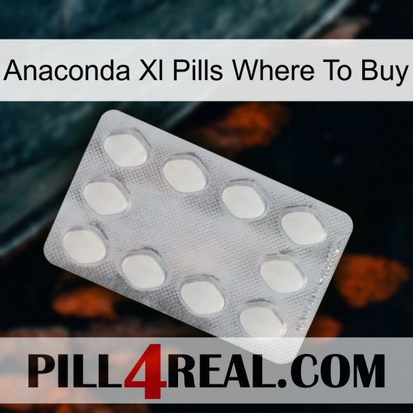 Anaconda Xl Pills Where To Buy 16.jpg